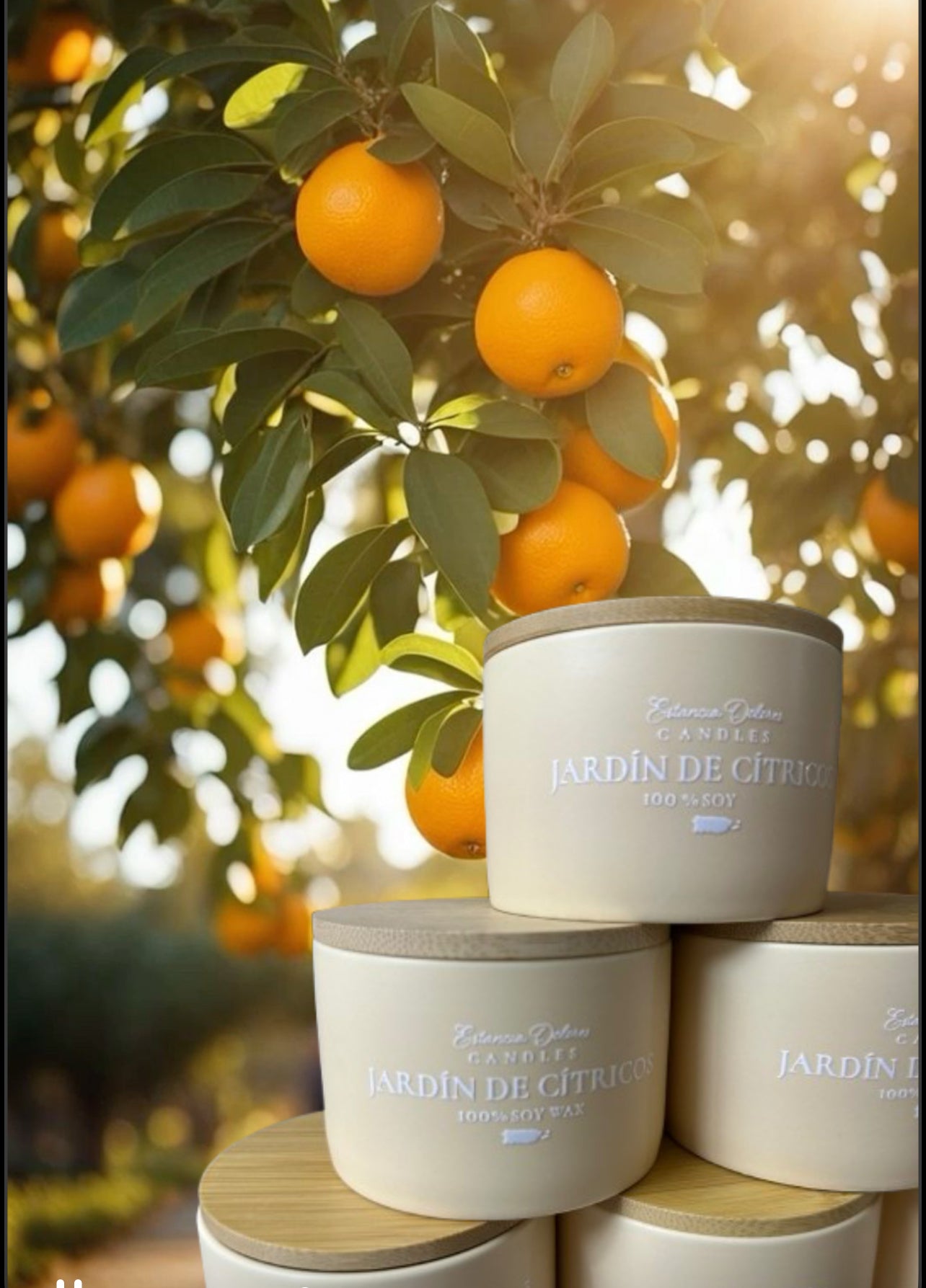 JARDÍN DE CÍTRICOS 9onz