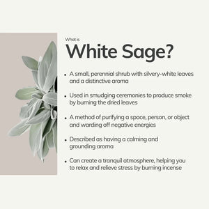WHITE SAGE INCENSE STICK – 7 HAND ROLLED STICKS FROM PERU